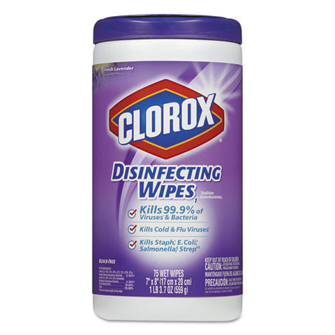 Disinfecting Wipes (6/Case)-Clorox Sales Co.-T-Ray Specialties